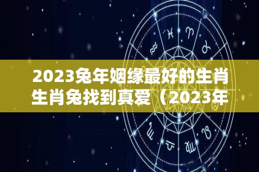 2023兔年姻缘最好的生肖生肖兔找到真爱（2023年属兔百年难遇）