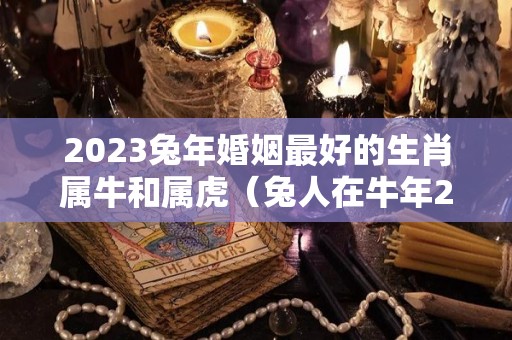 2023兔年婚姻最好的生肖属牛和属虎（兔人在牛年2023年的运势如何）