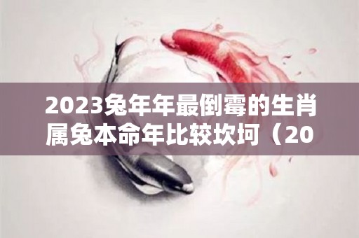 2023兔年年最倒霉的生肖属兔本命年比较坎坷（2023属兔本命年佩戴什么最好）