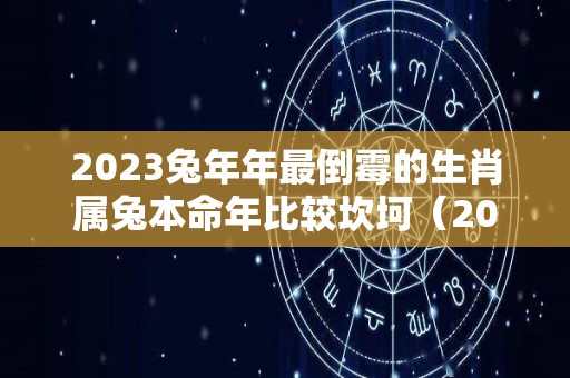 2023兔年年最倒霉的生肖属兔本命年比较坎坷（2023年本命年）