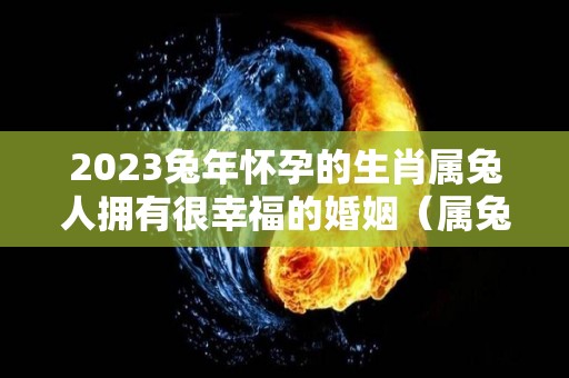 2023兔年怀孕的生肖属兔人拥有很幸福的婚姻（属兔2023年生孩子好不好）