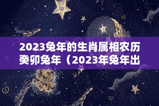 2023兔年的生肖属相农历癸卯兔年（2023年兔年出生）