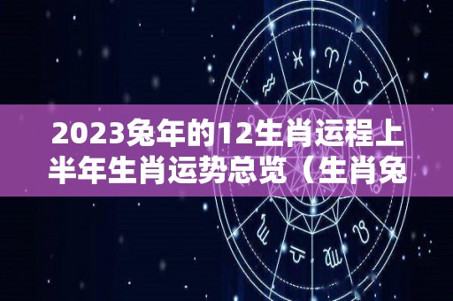 2023兔年的12生肖运程上半年生肖运势总览（生肖兔2023年全年运势）