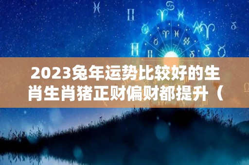 2023兔年运势比较好的生肖生肖猪正财偏财都提升（2023运势兔生肖运势详解）