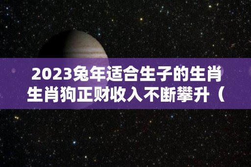 2023兔年适合生子的生肖生肖狗正财收入不断攀升（2023兔年最旺的四个属相）