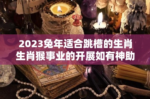 2023兔年适合跳槽的生肖生肖猴事业的开展如有神助（属兔2020年适合跳槽吗）
