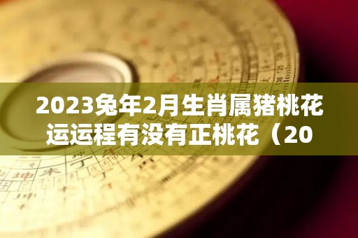 2023兔年2月生肖属猪桃花运运程有没有正桃花（2023年属猪的感情如何）