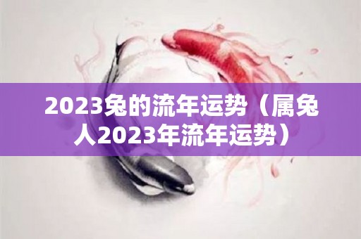 2023兔的流年运势（属兔人2023年流年运势）