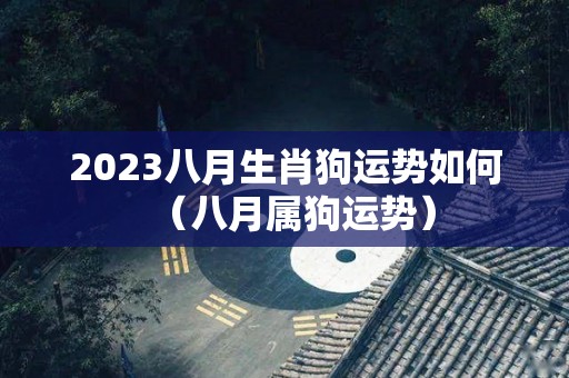 2023八月生肖狗运势如何（八月属狗运势）