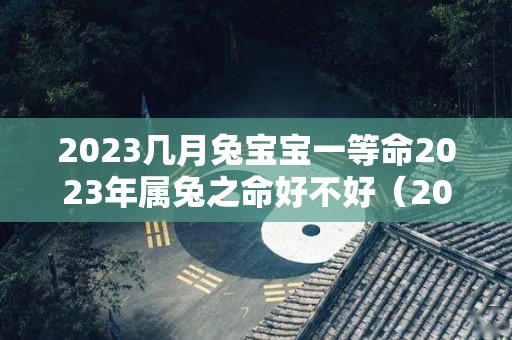 2023几月兔宝宝一等命2023年属兔之命好不好（2023兔宝宝几月出生最好命2021年）