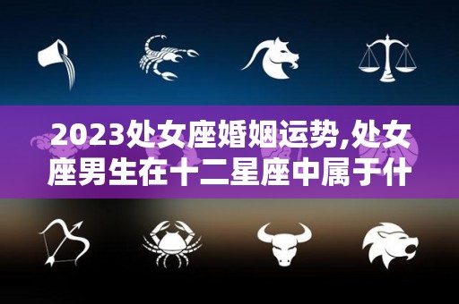 2023处女座婚姻运势,处女座男生在十二星座中属于什么类型？