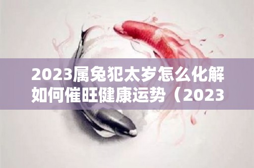 2023属兔犯太岁怎么化解如何催旺健康运势（2023兔年犯太岁的四个属相）