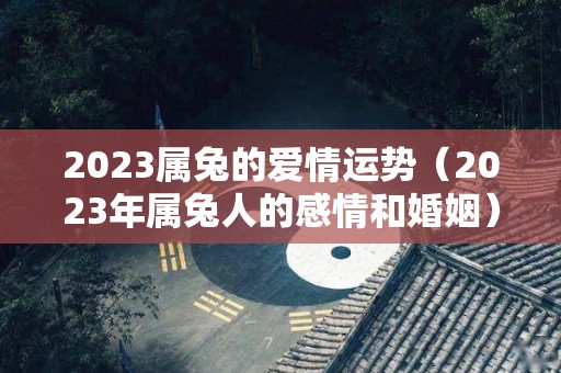 2023属兔的爱情运势（2023年属兔人的感情和婚姻）
