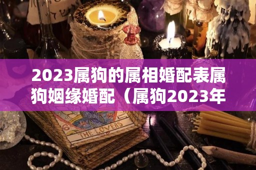 2023属狗的属相婚配表属狗姻缘婚配（属狗2023年属狗运势和运）