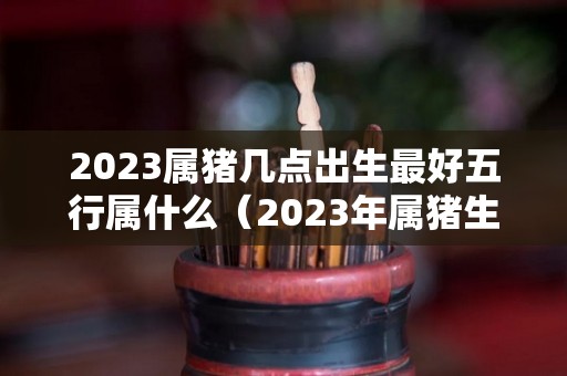 2023属猪几点出生最好五行属什么（2023年属猪生孩生子好不好）