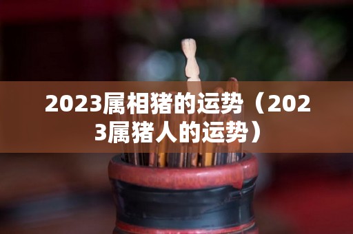 2023属相猪的运势（2023属猪人的运势）