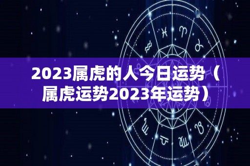 2023属虎的人今日运势（属虎运势2023年运势）