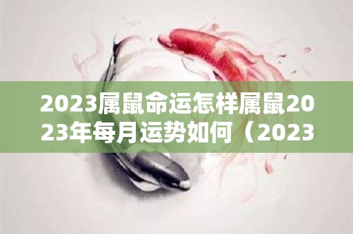 2023属鼠命运怎样属鼠2023年每月运势如何（2023年属鼠的运势怎么样）