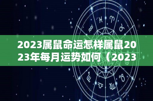 2023属鼠命运怎样属鼠2023年每月运势如何（2023年属鼠的运势怎么样）