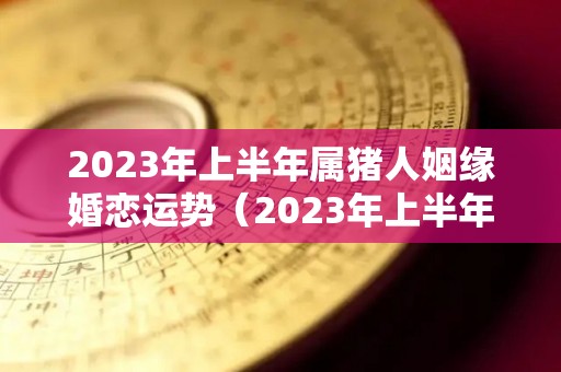 2023年上半年属猪人姻缘婚恋运势（2023年上半年属猪人姻缘婚恋运势怎么样）