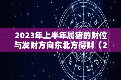 2023年上半年属猪的财位与发财方向东北方得财（2023年属猪百年难遇）