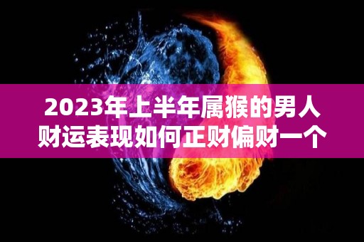 2023年上半年属猴的男人财运表现如何正财偏财一个不落（2023年属猴人命运）