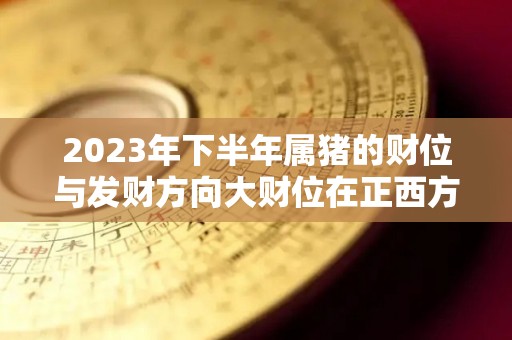 2023年下半年属猪的财位与发财方向大财位在正西方（2023年属猪的全年运势怎么样）