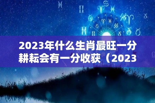 2023年什么生肖最旺一分耕耘会有一分收获（2023年什么生肖）