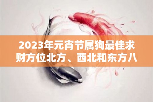 2023年元宵节属狗最佳求财方位北方、西北和东方八方来财（2023年属狗的全年运势）