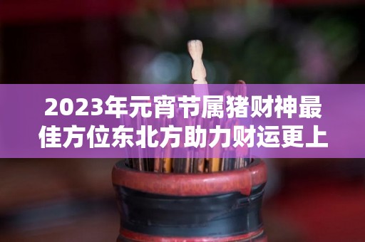 2023年元宵节属猪财神最佳方位东北方助力财运更上一层楼（2023年属猪的财运和运气如何）