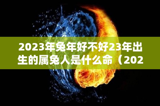 2023年兔年好不好23年出生的属兔人是什么命（2023年属兔的是什么命格）