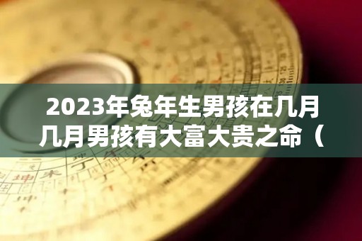 2023年兔年生男孩在几月几月男孩有大富大贵之命（2023年兔年男孩几月出生好）