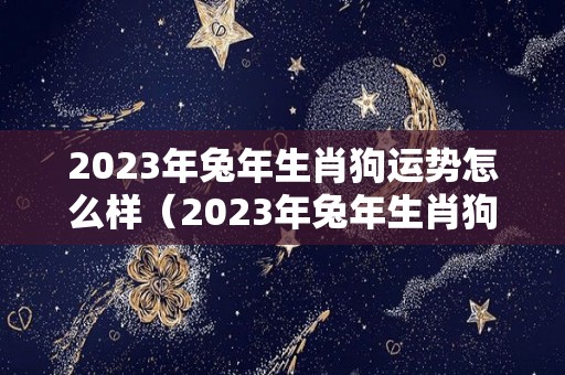 2023年兔年生肖狗运势怎么样（2023年兔年生肖狗运势怎么样呢）
