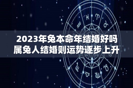 2023年兔本命年结婚好吗属兔人结婚则运势逐步上升（2023年兔年本命年运势）