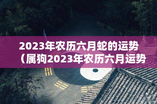 2023年农历六月蛇的运势（属狗2023年农历六月运势）