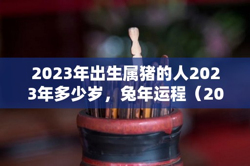 2023年出生属猪的人2023年多少岁，兔年运程（2023年属猪的多大年龄）