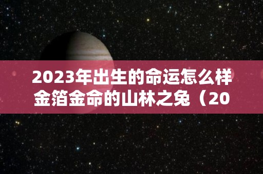 2023年出生的命运怎么样金箔金命的山林之兔（2023年兔年是金命吗）
