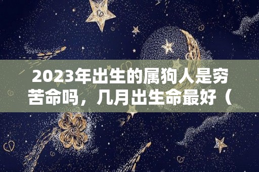 2023年出生的属狗人是穷苦命吗，几月出生命最好（2023年属狗）