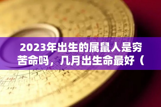 2023年出生的属鼠人是穷苦命吗，几月出生命最好（2023年生肖鼠的运势怎么样）