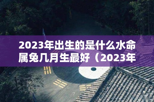 2023年出生的是什么水命属兔几月生最好（2023年属兔几月出生的人命最好）