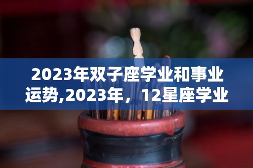 2023年双子座学业和事业运势,2023年，12星座学业运势双子座2023年事业运势