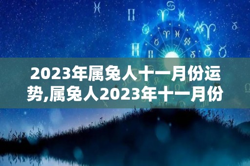 2023年属兔人十一月份运势,属兔人2023年十一月份财运运势2023年十一月份健康运势