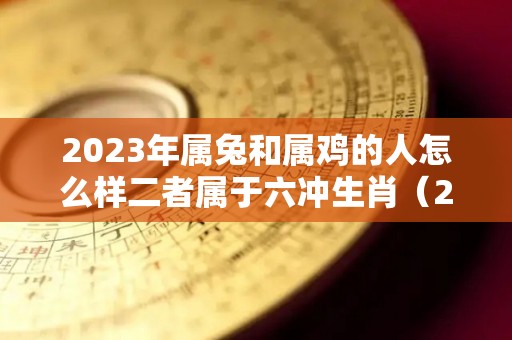 2023年属兔和属鸡的人怎么样二者属于六冲生肖（2023年兔年属鸡运势）