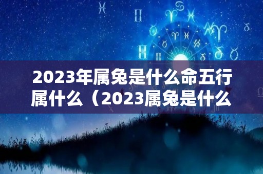 2023年属兔是什么命五行属什么（2023属兔是什么命五行属什么水）