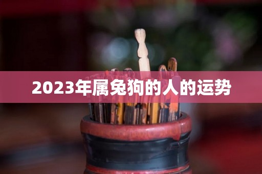 2023年属兔狗的人的运势