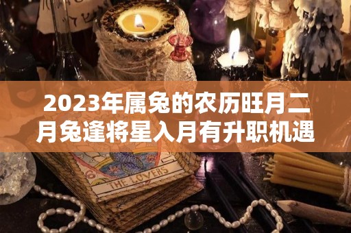 2023年属兔的农历旺月二月兔逢将星入月有升职机遇（2023年属兔几月出生命运）