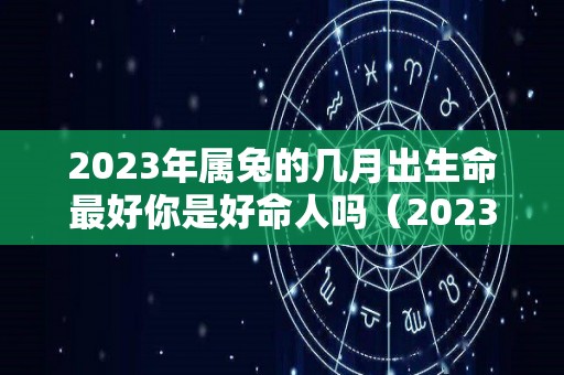 2023年属兔的几月出生命最好你是好命人吗（2023年属兔几月出生好旺父母?）