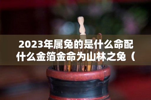 2023年属兔的是什么命配什么金箔金命为山林之兔（2023年属兔的是什么命好不好）