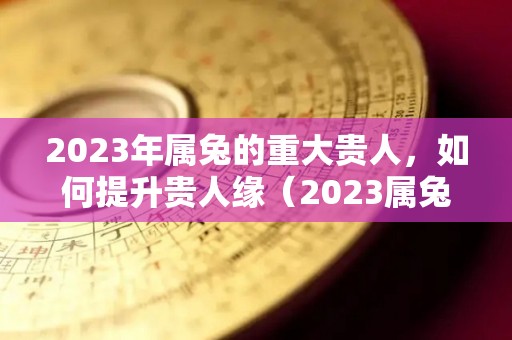2023年属兔的重大贵人，如何提升贵人缘（2023属兔的人命运好吗）
