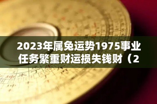 2023年属兔运势1975事业任务繁重财运损失钱财（2023属兔人全年运势女1975）